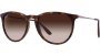 - Erika - Rubber Havana/polycarbonate Brown Gradient - RB4171 865/13 54-18