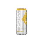 Soda 300ML Assorted Flavours - Ginger & Lemon