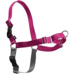 Petsafe Easy Walk No-pull Dog Harness - XS Raspberry Waggs Online Pet Shop
