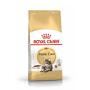 ROYAL CANIN Maine Coon Adult Cat Food - 4KG