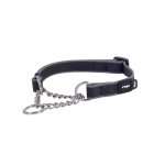 Rogz Amphibian Control Collar - Medium Black