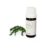 Escentia Black Pepper Pure Essential Oil - 10ML