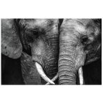Elephant Love Art Photography Print Wall Canvas 800 X 1200