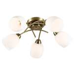 Eldia Chandelier Light