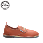 Protea Kamieskroon Orange 670001 - 9