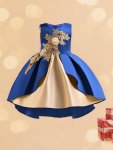 Vintage Style 3D Embroidery Girls Sleeveless Dress Party Gift Birthday