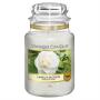 Yankee Candle Camellia Blossom Large Jar Retail Box No