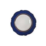 - Blue Fern Charger