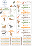 School Labels : Safari