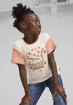 Puma Classics Fc Tee - Island Pink