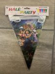 Encanto Bunting