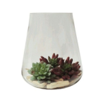 Bulb Vase 28CM H X 17CM W