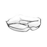 Divided Plate Clear