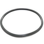 O-ring Lid Pump Ltp Pentair Onga
