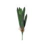 Orchid Leaves 10 Stems 55CM