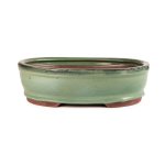 Assorted Glazed Bonsai Pots 6" - Green Oval 15 X 12 X 5CM
