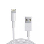 Apple Ldnio Charging And Data Cable- 1M