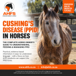 Cushings Disease Ppid In Horses The Complete Horse Owners Guide To Understanding Feeding & Managing Ppid – Ahfs Educational Eboo