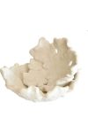 Coral Bowls - Medium - Black