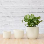 Moon Planter - White - 13CM