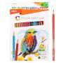 Deli Colour Pencils - Triangular Barrel 36PCS