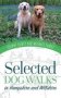 Selected Dog Walks In Hampshire And Wiltshire   Paperback
