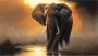 Canvas Wall Art - Majestic Elephant - B1017 120 X 80 Cm