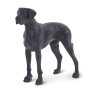 Best In Show Great Dane