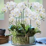 1PC Lifelike 9-HEAD Artificial Orchid - Perfect For Weddings Engagements & Home Decor