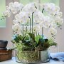 1pc Lifelike 9-Head Artificial Orchid - Perfect For Weddings Engagements & Home Decor