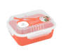 Snappy Lunch Box Rect 1.7LT Coral