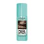 Hair Concealer 75ML Iced Brown