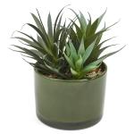 GREE N Succulent In Cement Pot