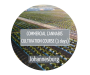Commercial Cannabis Cultivation Johannesburg - 5TH - 7TH Oct Inc Accommodation & Meals
