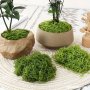 Versatile Artificial Moss - Perfect For Diy Terrariums Fairy Gardens & Home Decor Durable Abs Resin Material