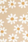 Daisies - Wall Art Print - A1