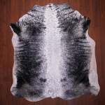 As Grade Nguni Hide 624 Black white XL - Extra Large Black white Speckled