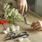 Kikkerland Garden Shears Set Of 3