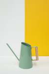 Indoor Watering Can - Penny Gum 1.5L