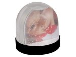 Picture Snow Globe
