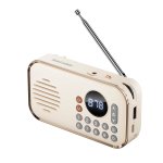 MINI Portable Bluetooth Speaker Fm Radio Aux USB & Tf Card PLAYER-SP01
