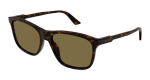 Gucci Sunglasses Mens In Havana Brown GG1819S-002 - Havana Onesize