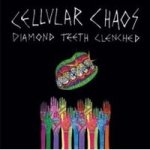 Diamond Teeth Clenched Vinyl Record