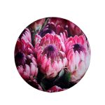 Chenille Rug Blooming Pink Protea