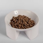 Pluto Pet Bowl Large - Gloss White