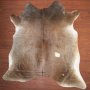 Aas Grade Cow Hide 063 Tricolour L - Large / Tricolour / Solid