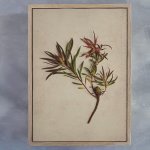 Fynbos 3 Art Print - A0 Framed Canvas With Natural Wood Frame