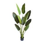 Banana Leaf Plant - 150CM