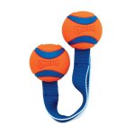 Chuckit Ultra Duo Tug - Small