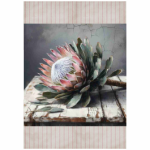 FSC1042 Kitchen Towel